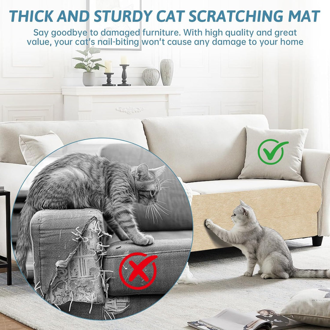 Heavy Duty Cat Scratch Mat for Couch