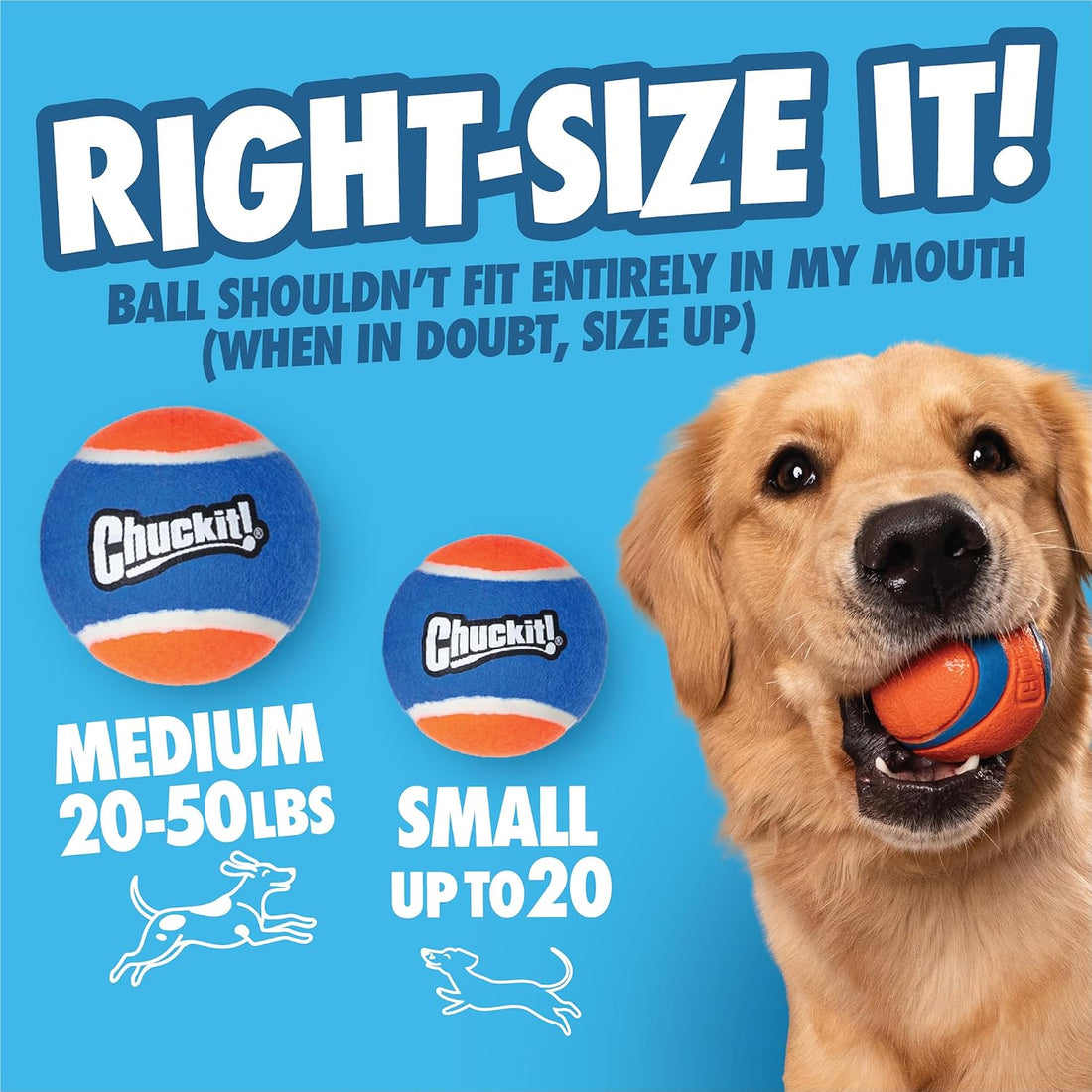 Chuckit! Cannon 16S Dog Ball Launcher, 16 Inch Size