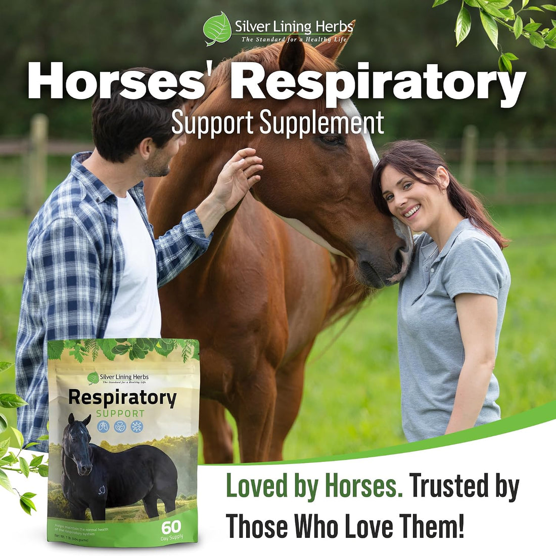 Silver Lining Herbs Respiratory Lung Support for Horses - 1 lb