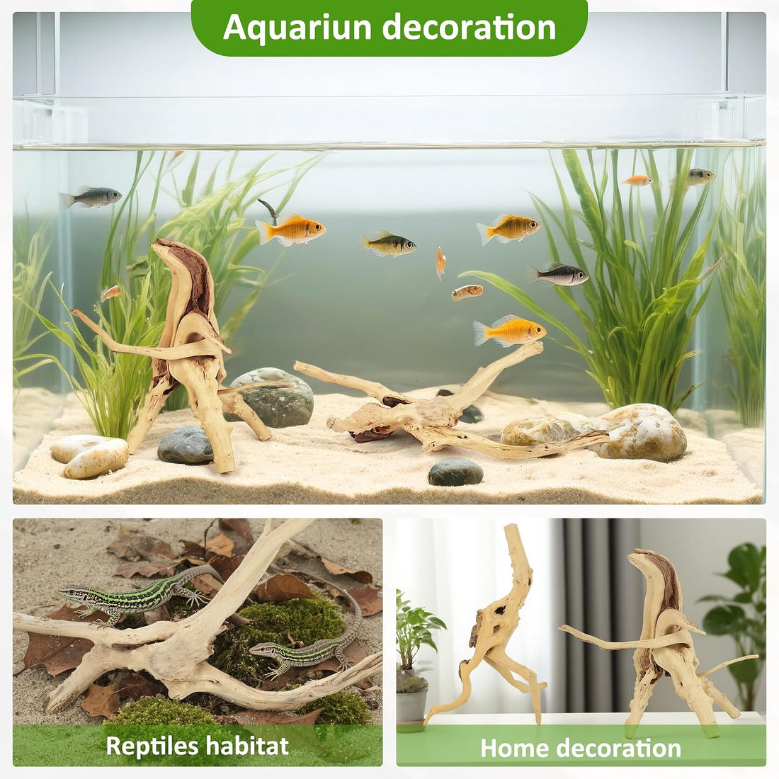 8 Pcs Natural Spider Woods, 4-8 Inch