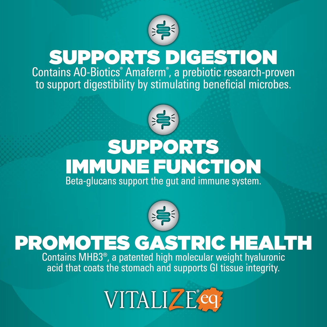 VITALIZE® ALIMEND®, 64 Oz