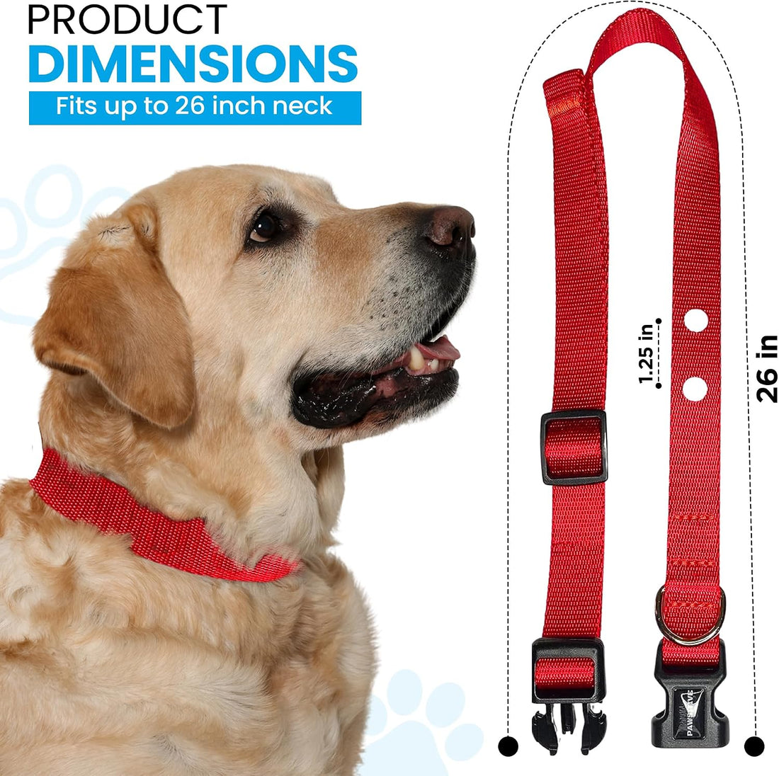 3/4" Orange Replacement Collar Strap