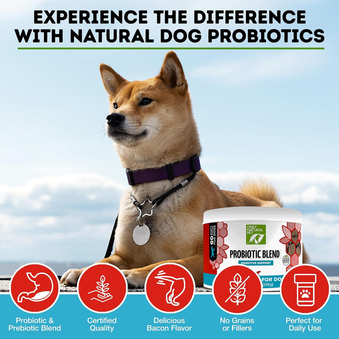 Only Natural Pet Probiotic Dog and Cat Supplement, Soft Chews