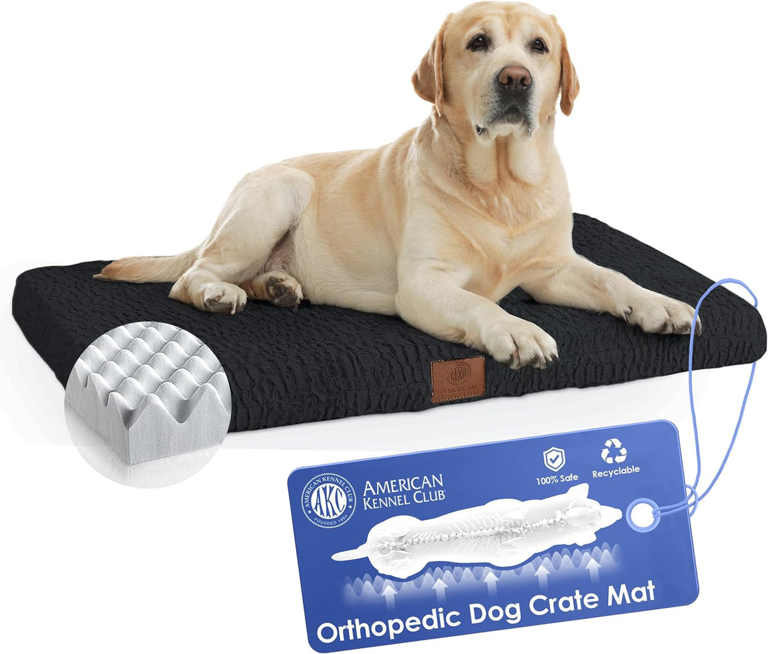 AKC Orthopedic Memory Foam Dog Crate Mat, 24" x 19"