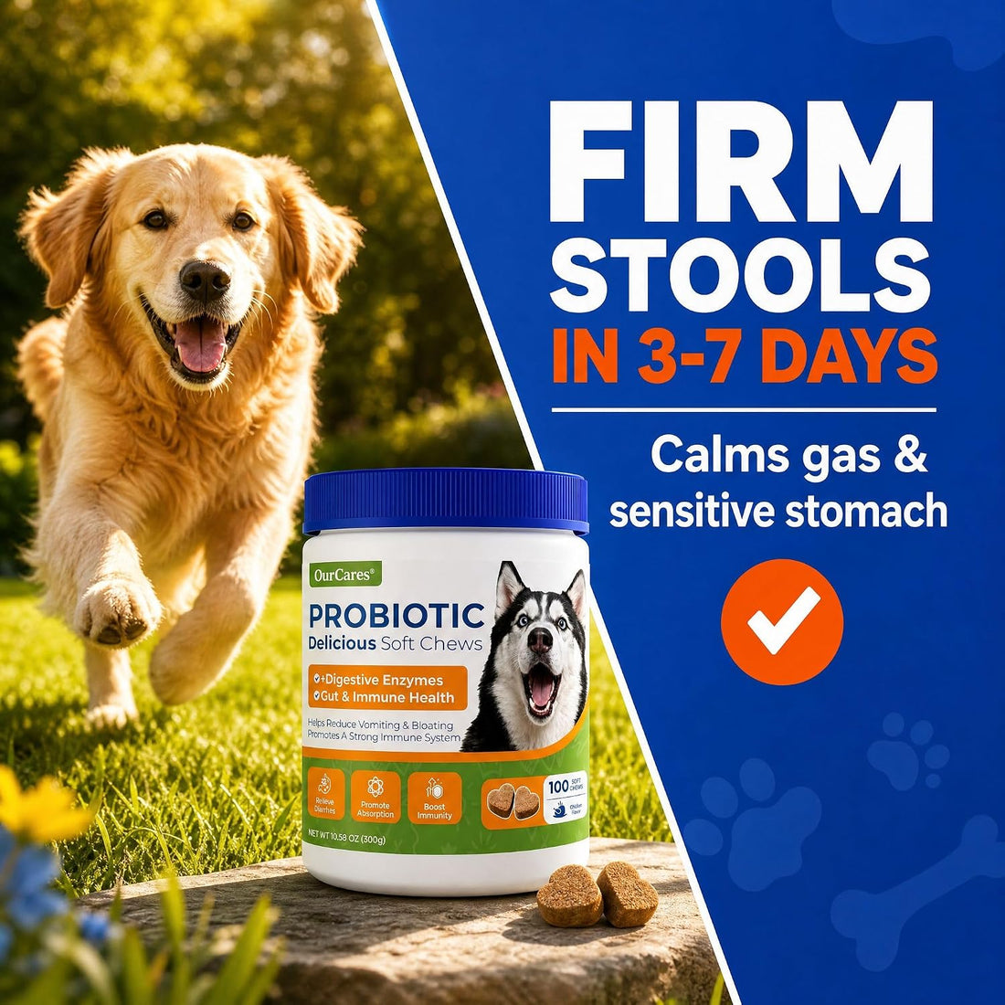 Probiotics for Dogs – Probiotic Chews with 4.8 Billion CFU