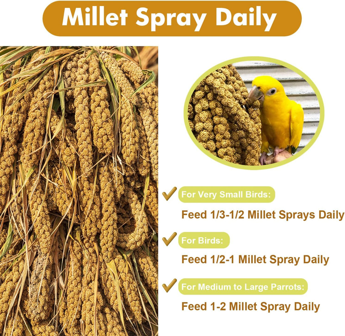 Jmxu's Spray Millet Treat for Birds Parakeets