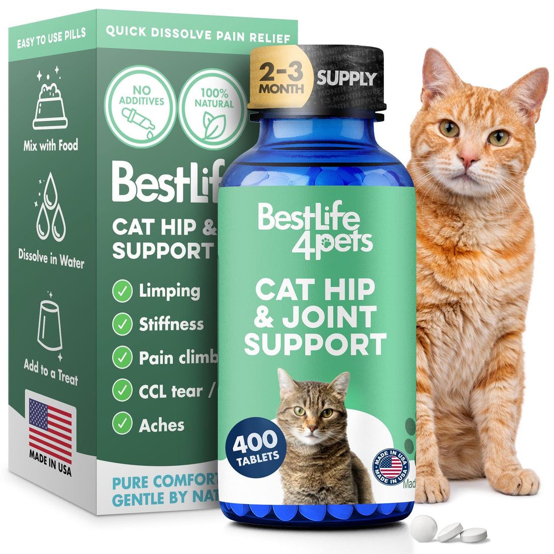 Cat Joint Supplement and Mobility Support