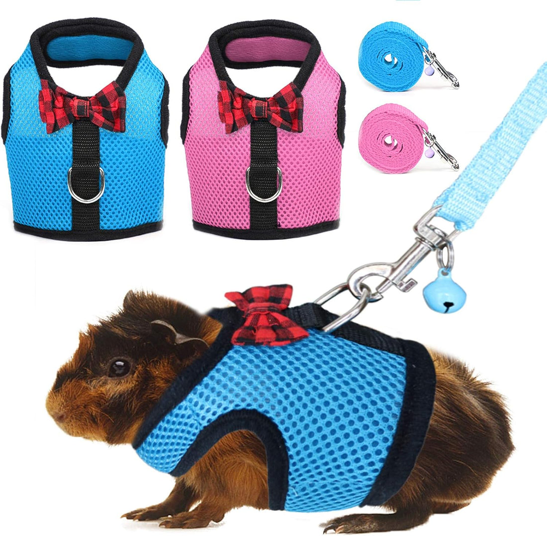 Rypet Guinea Pig Harness and Leash