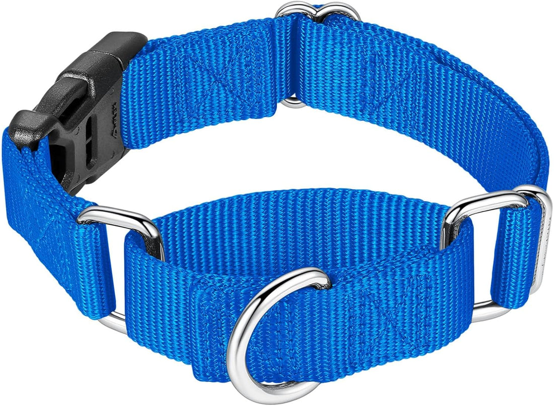 Mikivery Martingale Collar for Dogs Nylon Dog Collar with Quick