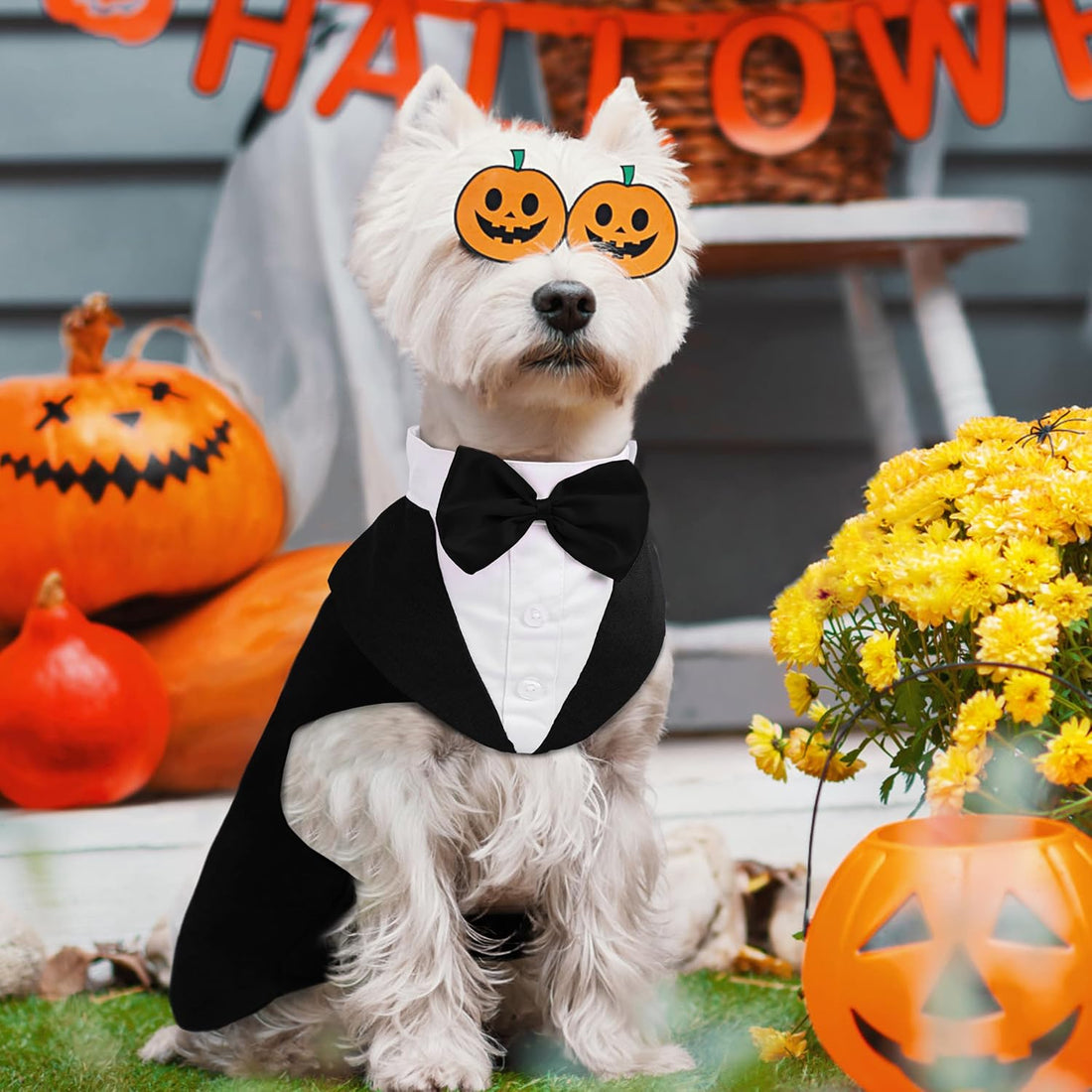 PUMYPOREITY Small Dog Bowtie Tuxedo Suit