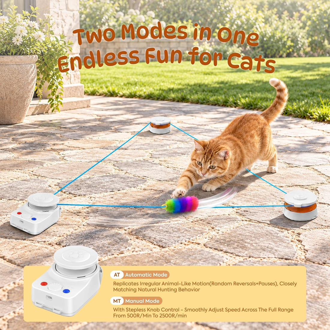 Interactive Cat Toy for Indoor Cat,Automatic Treadmill for Exercise