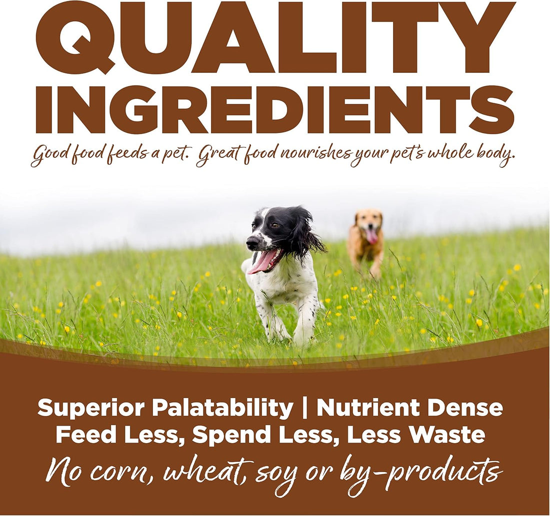 NutriSource Large Breed Lamb Meal & Rice Dog Food