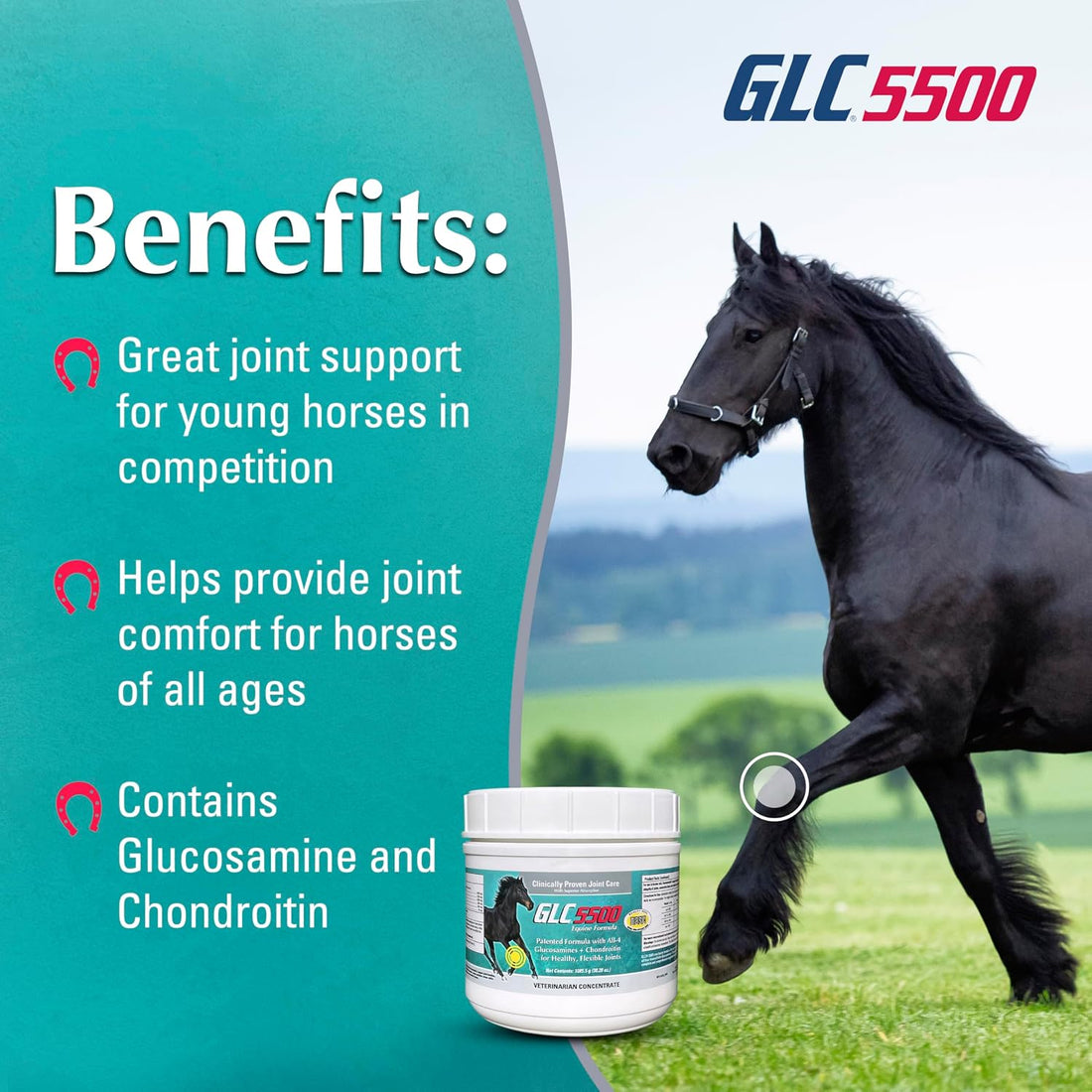 GLC Direct 5500 Equine Formula - Joint Supplement for Horses