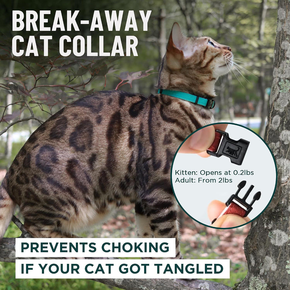 OutdoorBengal Durable Breakaway Cat Collar, No Bell (Blue, M/L)