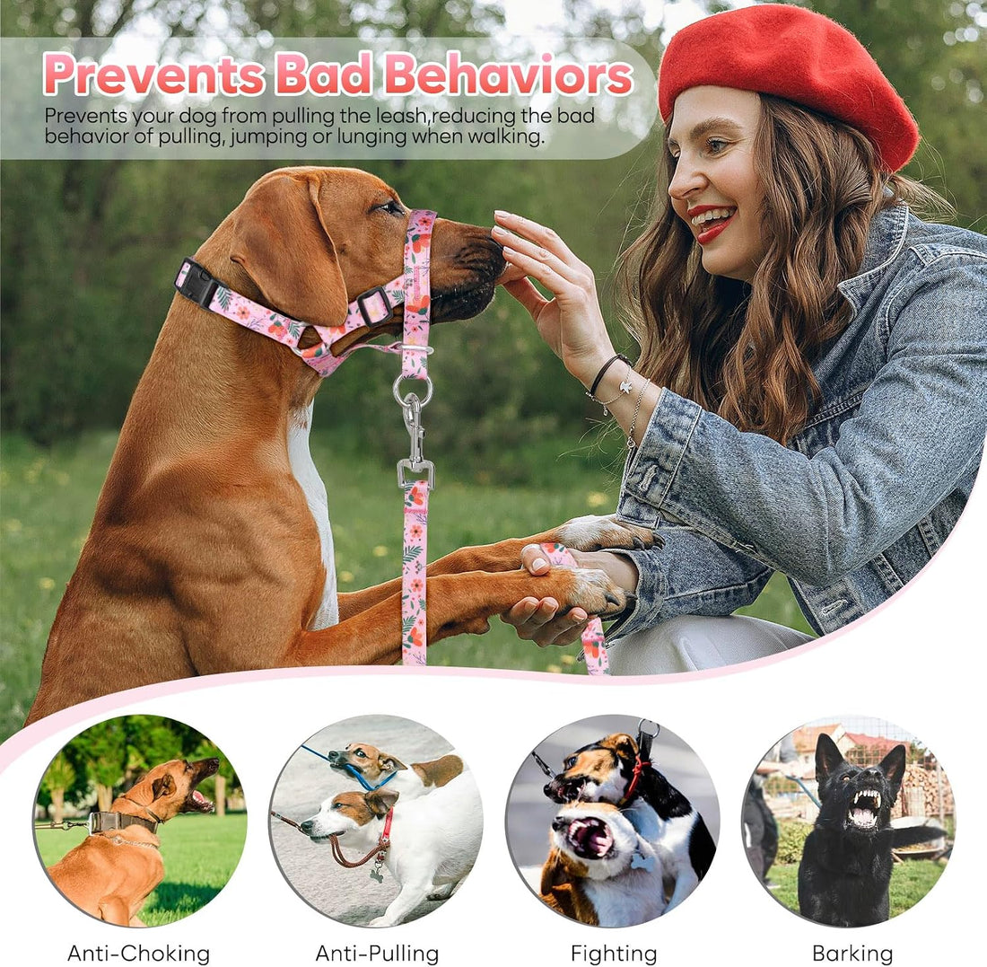Dog Head Collar, Printed No-Pull Headcollar