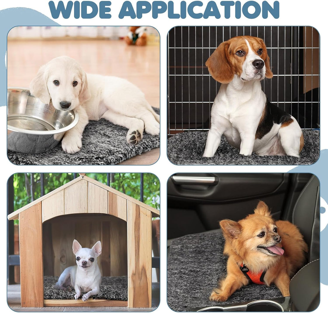 Drydiet 6 Pack Self Warming Pet Pad