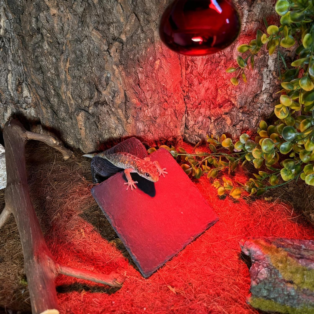 Reptile Basking Platform, 6 x 6 Inches Slate Rock