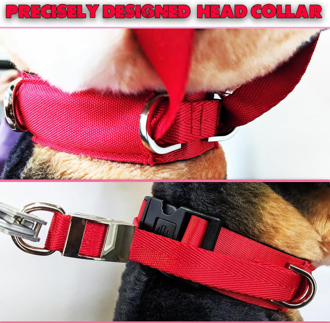 PetsProMax Dog Headcollar for Pulling & Reactive Dogs