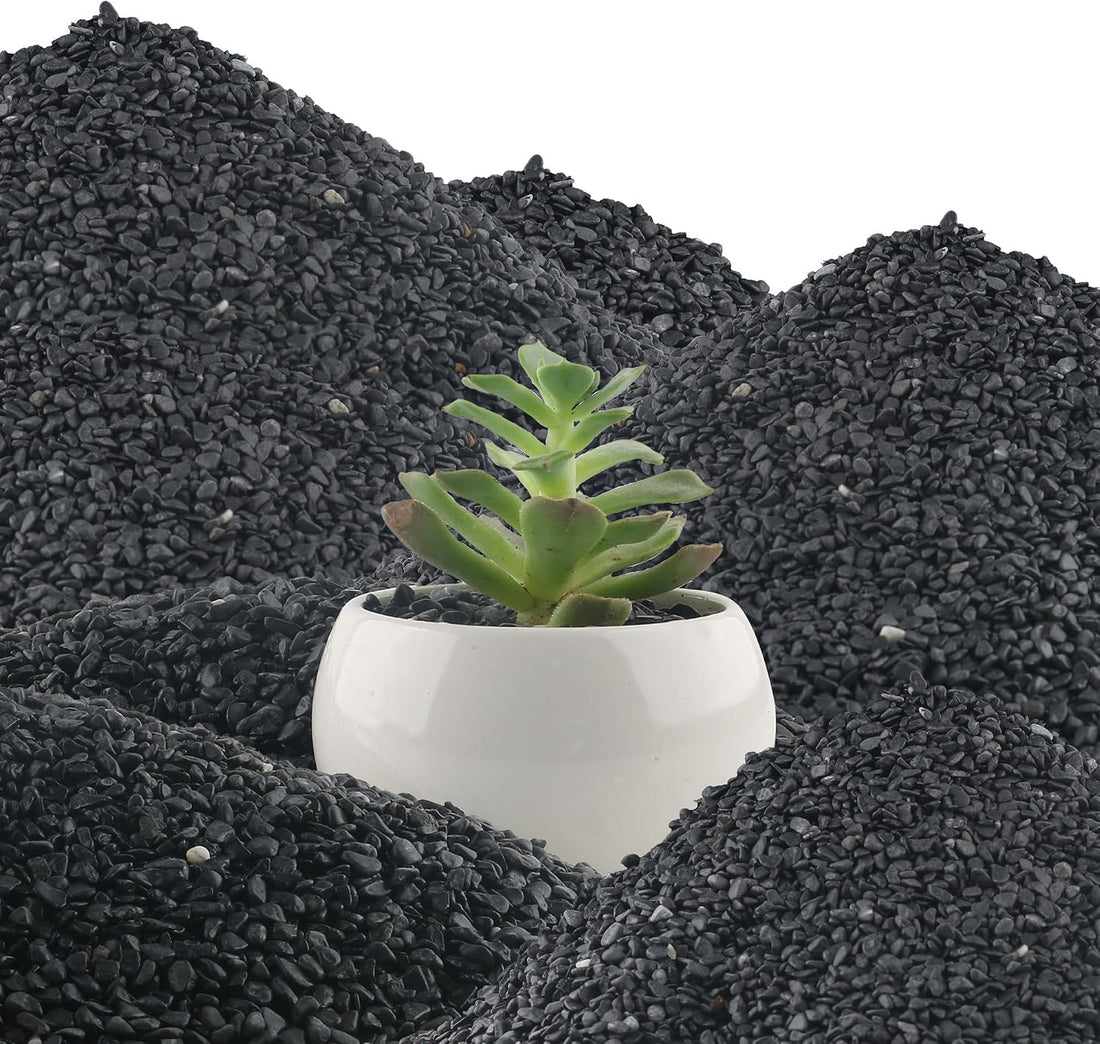 3lb Black Cactus Pea Gravel Rocks,1/4 Inch Pebbles for Indoor Plants