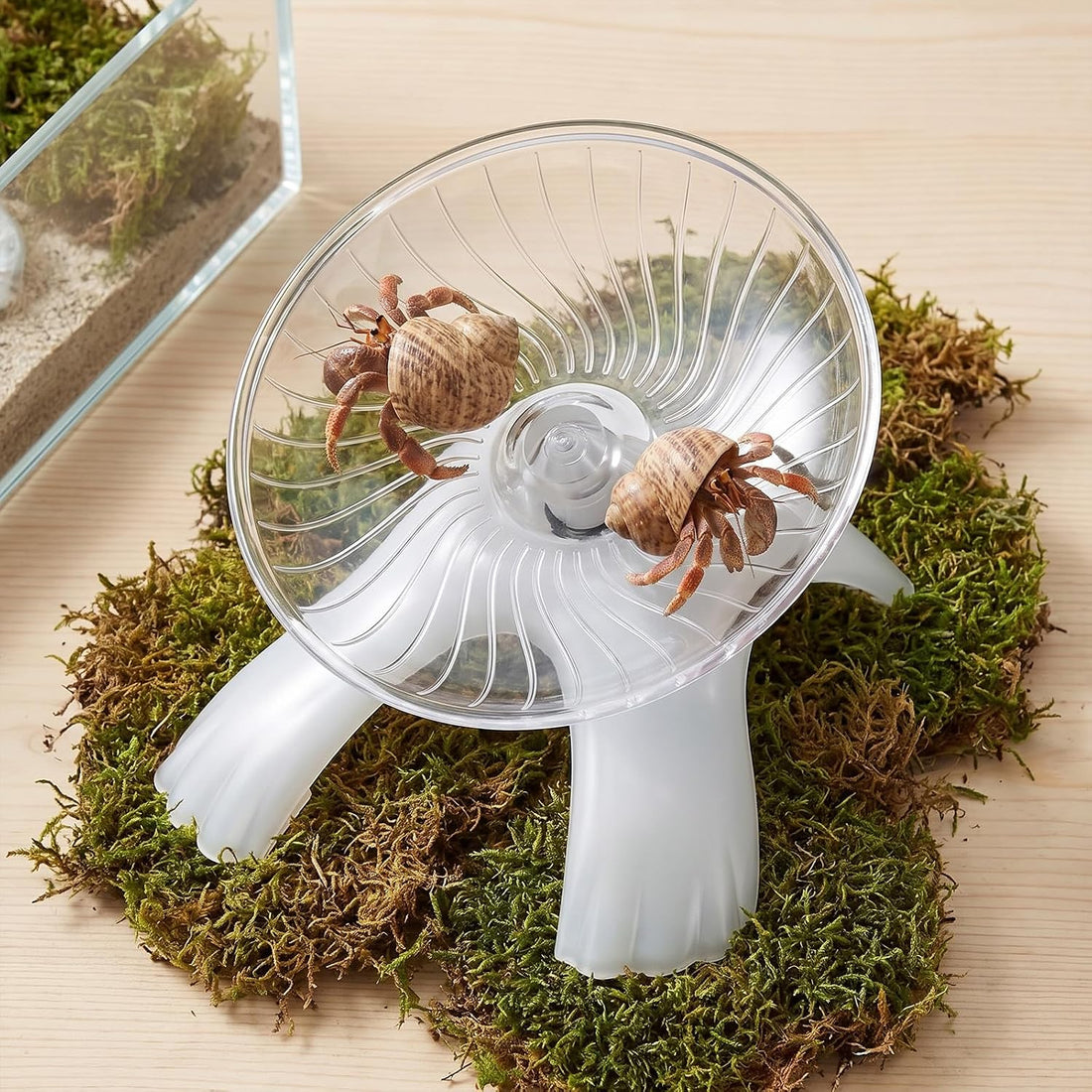Hermit Crab Exercise Wheel, Silent Running Wheel Small Animal