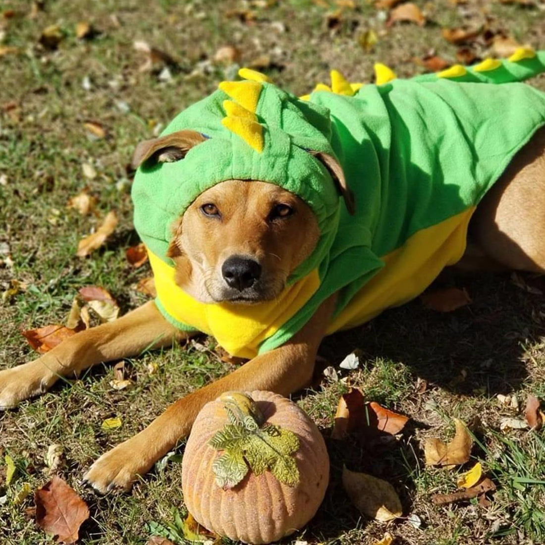 FLAdorepet Halloween Large Dog Dinosaur Costume Dino Outfits