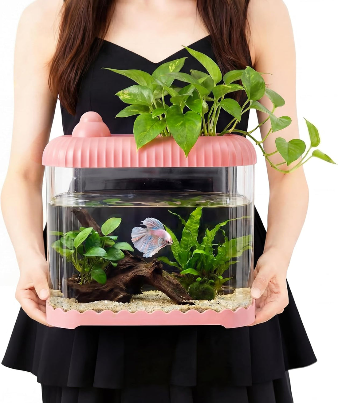 Geelin Pink 2 Gallon Plastic Fish Tank Shatterproof Betta Aquarium
