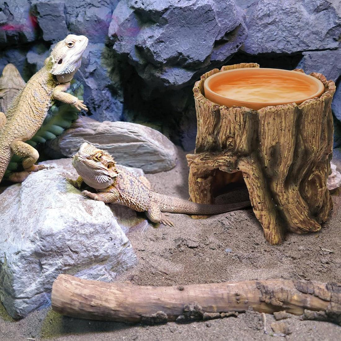 Cididu Reptile Hide Cave Resin