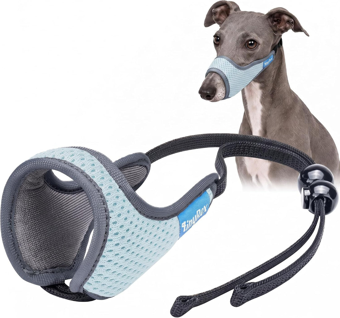 One-Pull Adjustable Dog Muzzle for Small Dogs, No Size Guessing