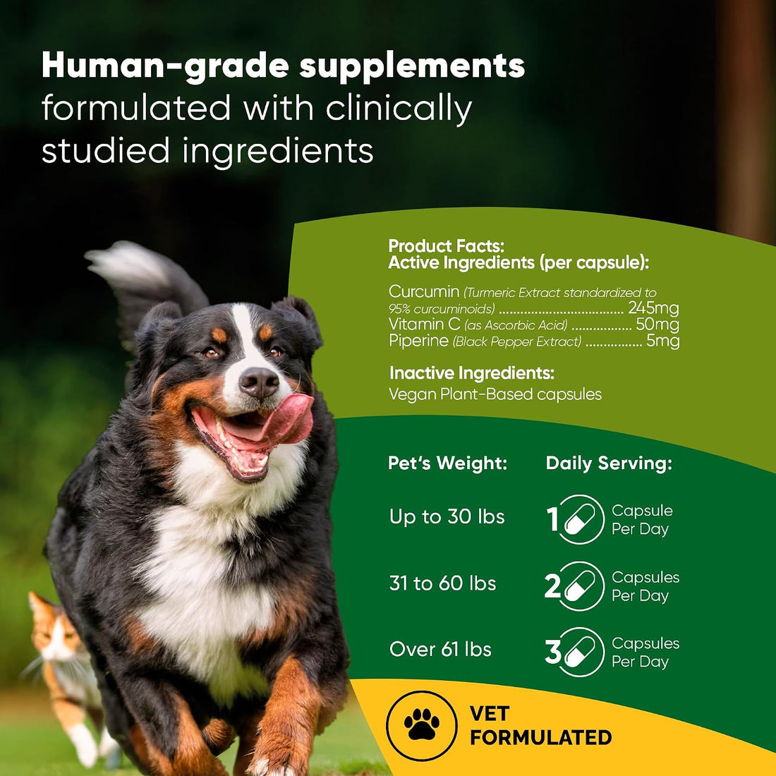 Turmeric for Dogs & Cats Supplement - Anti-Inflammatory Relief