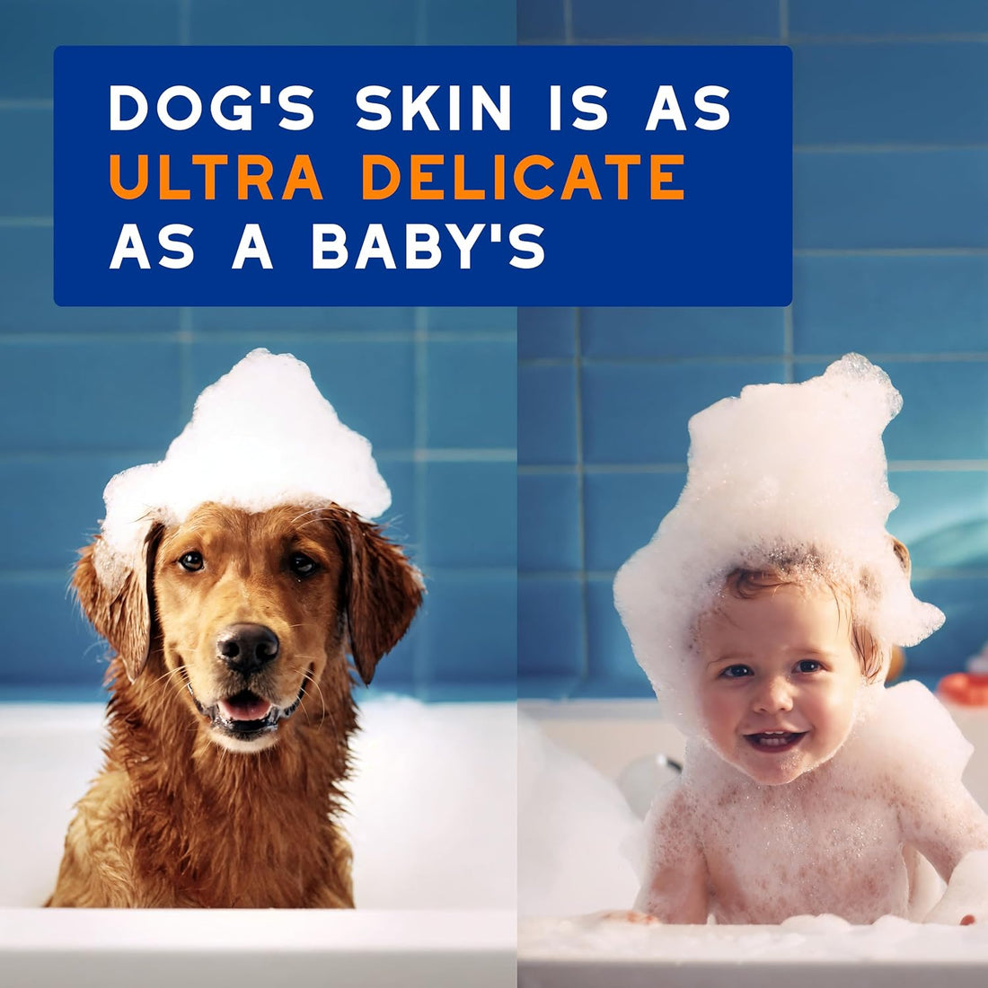 DOUXO SPA 2 in 1 Dog Shampoo and Conditioner, 16 fl oz