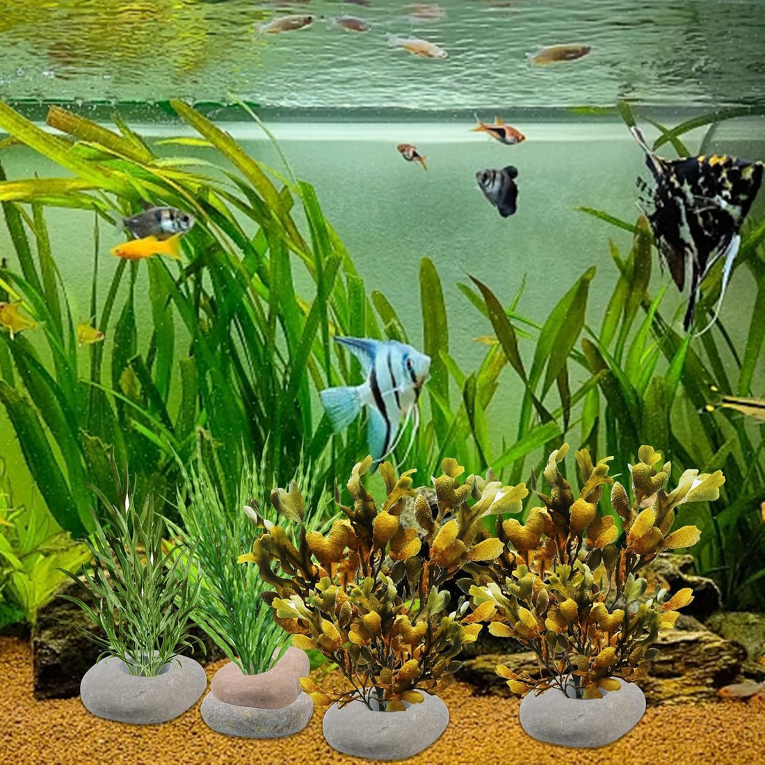 6 Pcs Natural River Stone Plant Weights for Aquarium