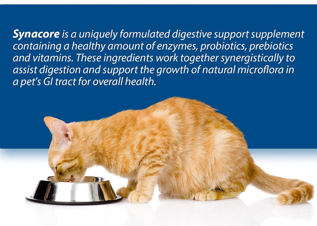 Synacore Feline - All Natural Formula to Provide Immune Support