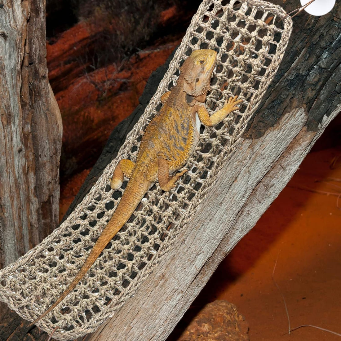 Silkfly Large Beard Dragon Hammock, 30 x 7 Inch, Rectangle, Brown