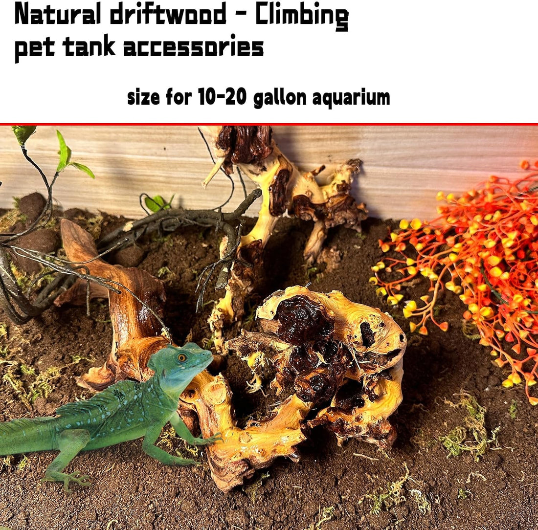 Hamiledyi Aquarium Driftwood 3PCS Natural Trunk Driftwood Assorted