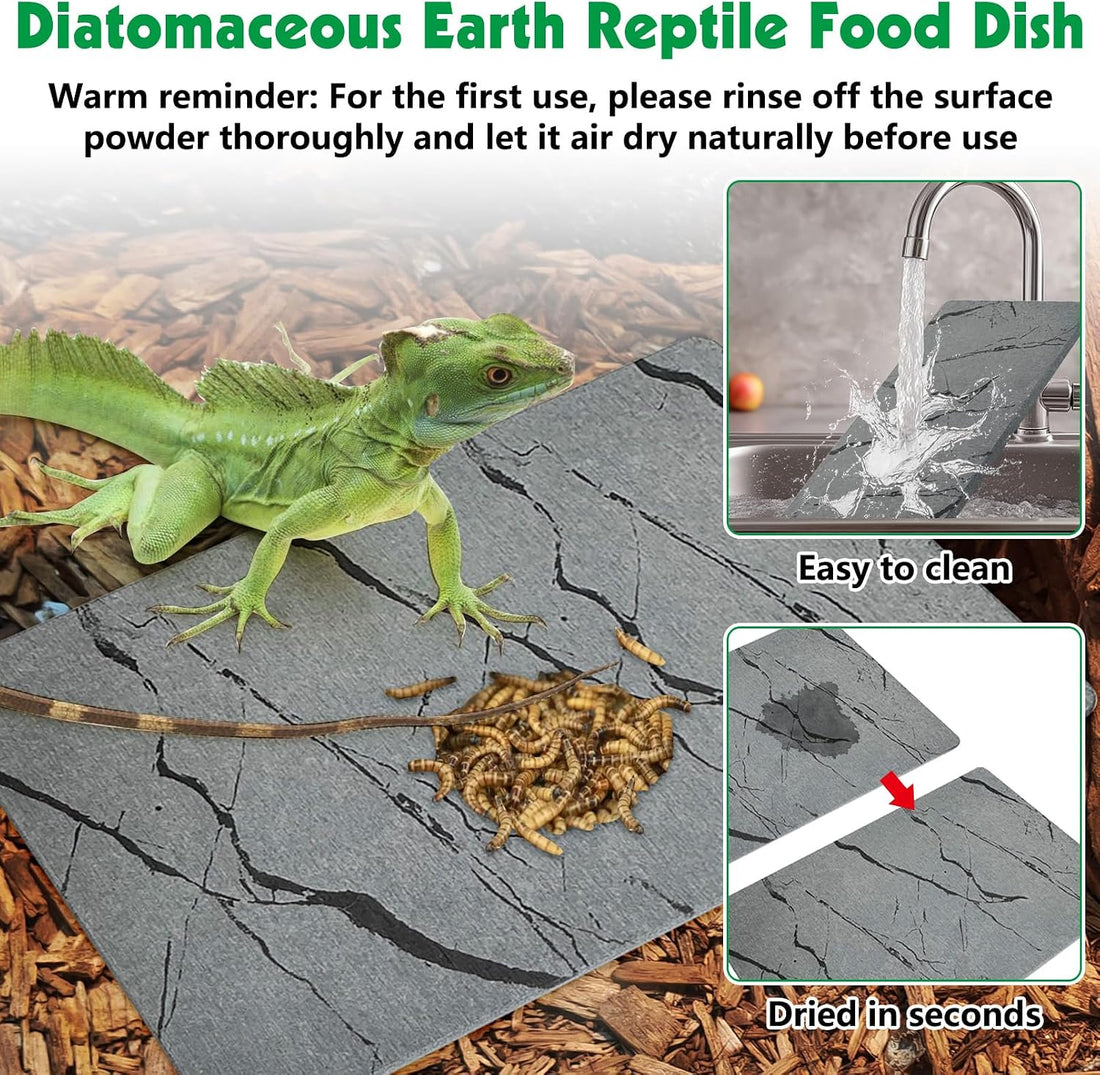 Diatomite Reptile Basking Platform Turtle Feeding Slate11.8x7.9