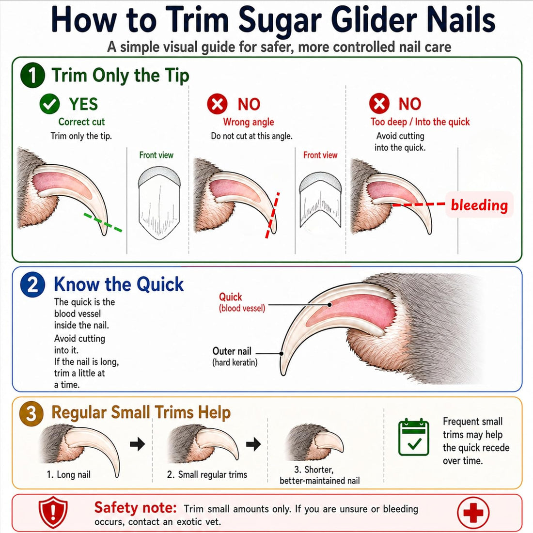 Sugar Glider Nail Trimming Kit with Handling Glove and Nail Scissors