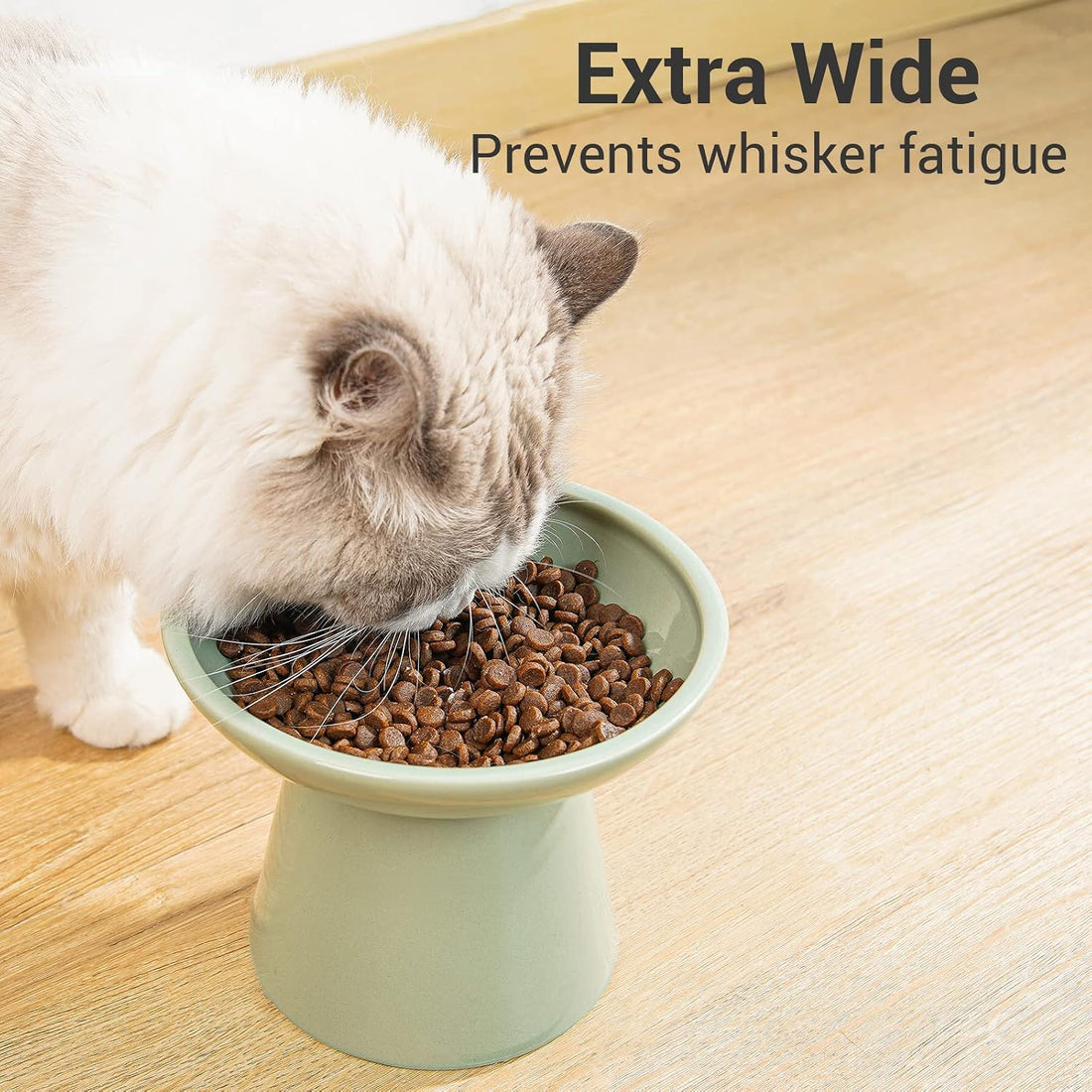 CEEFU Extra Wide Elevated Ceramic 6.2" Shallow Cat Food Bowl