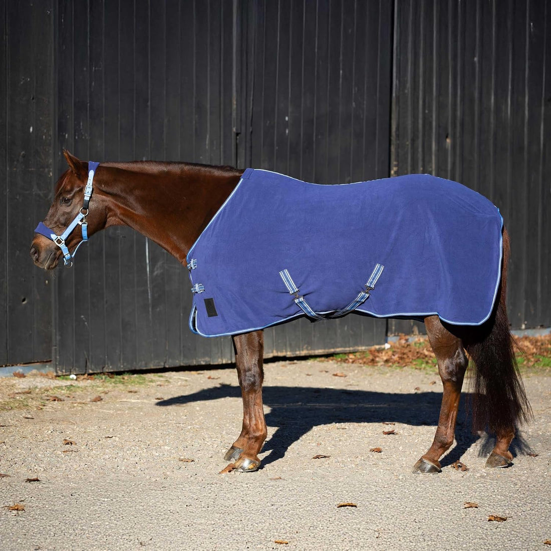 Equinavia Norse Anti-Pill Fleece Cooler | Blanket Liner for Horses