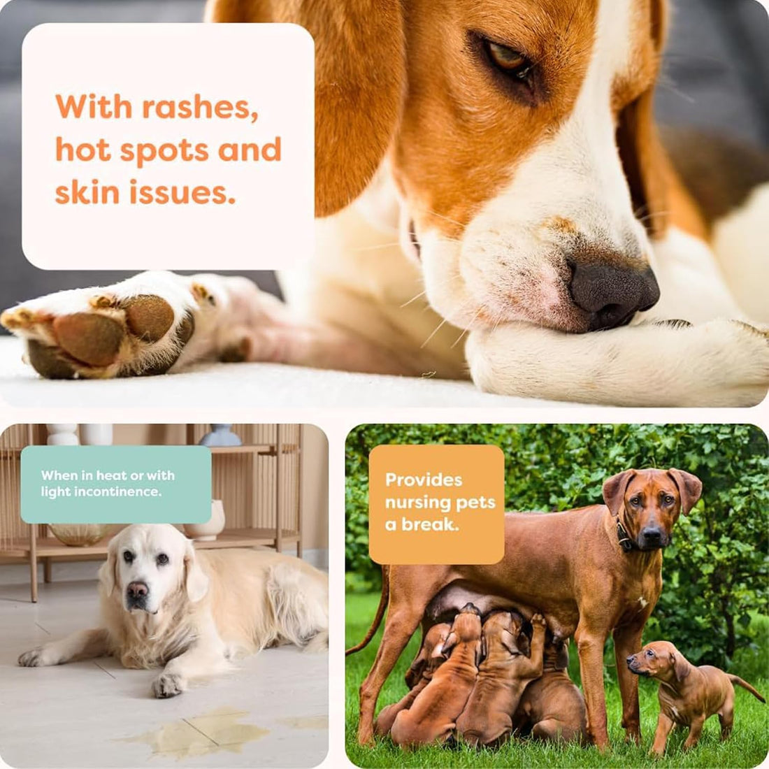 Suitical Recovery Suit for Dogs