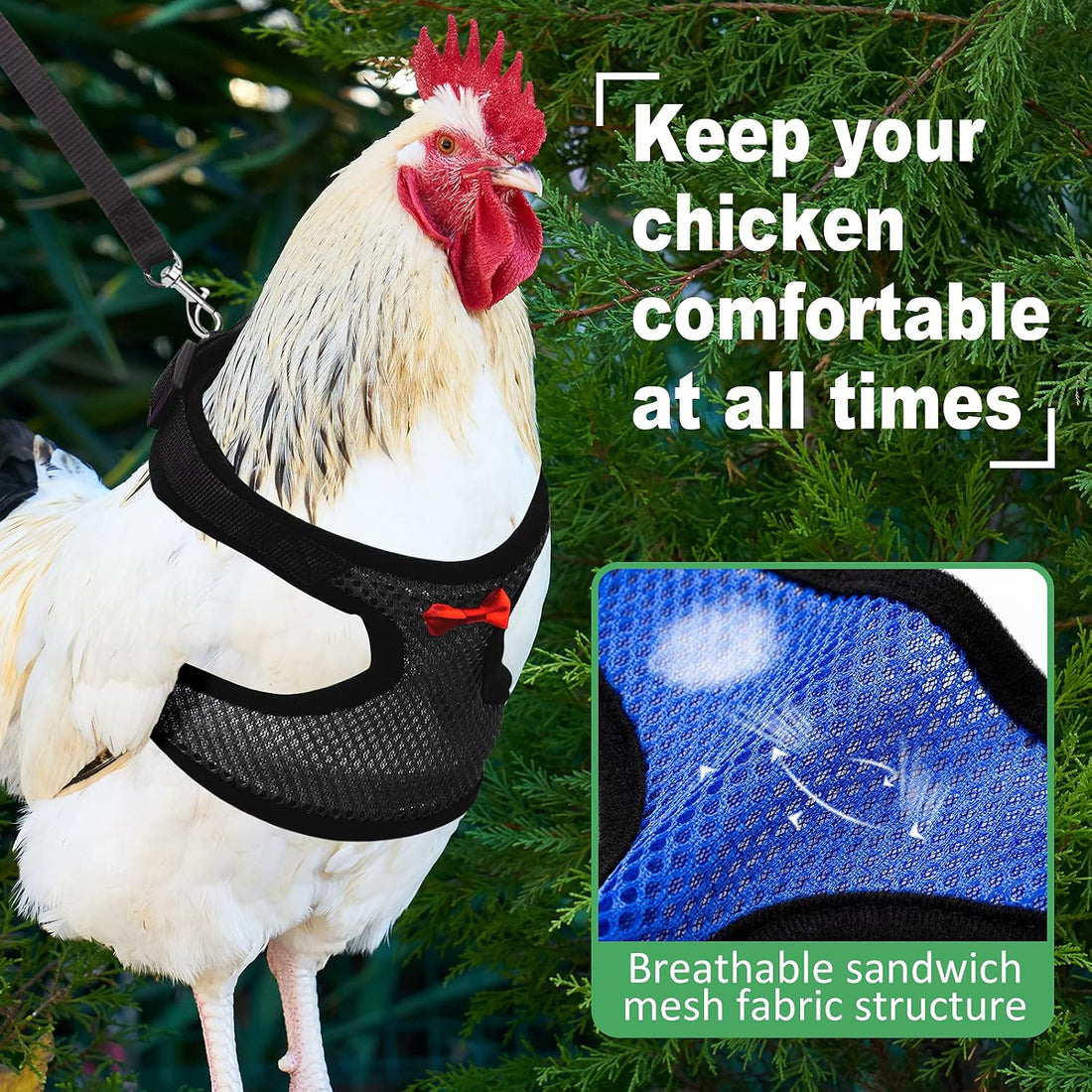 Adhafera Chicken Harness with Leash