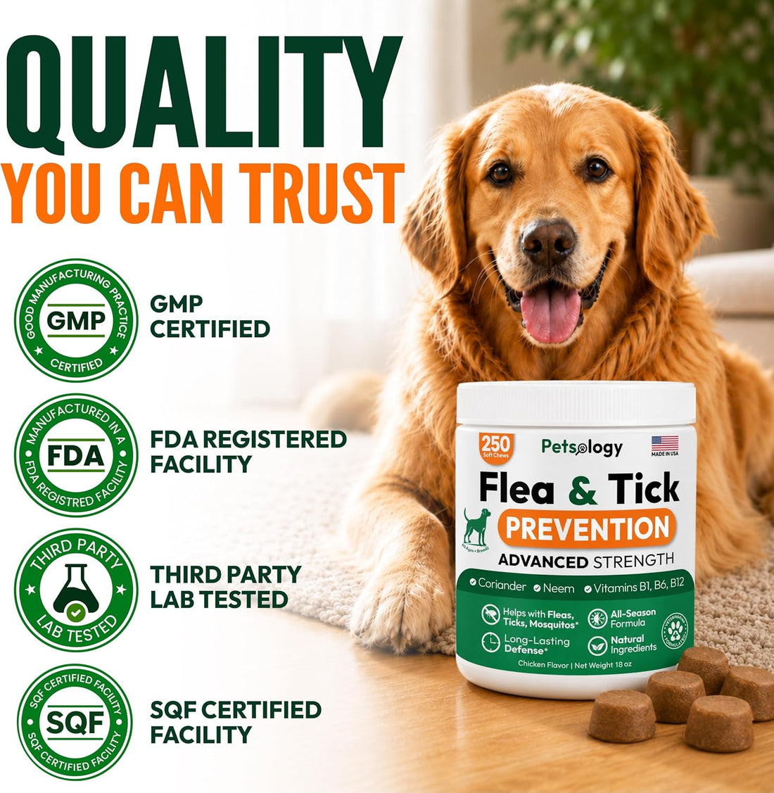 Flea and Tick Prevention for Dogs Pills - 250 Chews