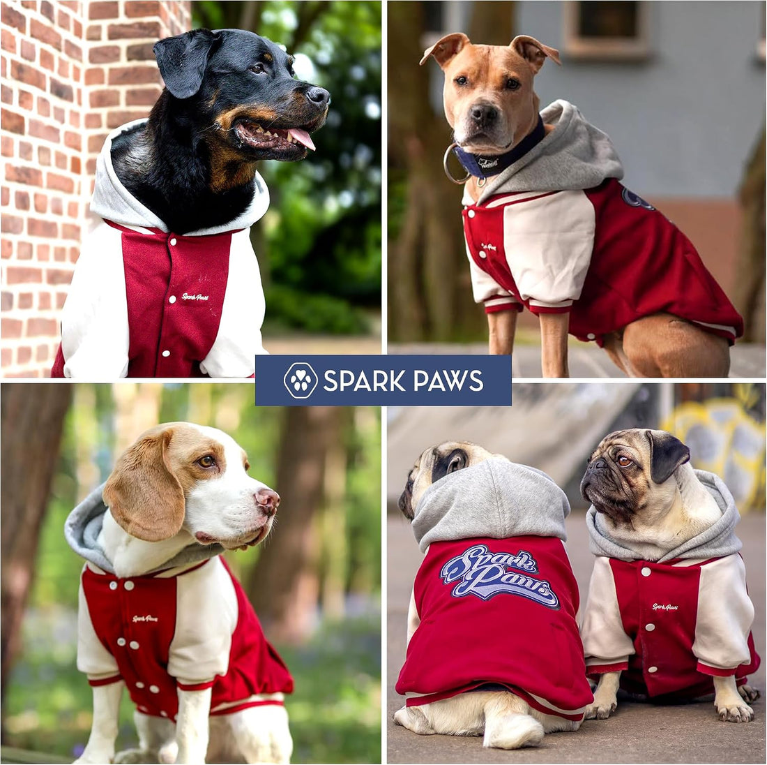 Spark Paws Varsity Dog Jacket
