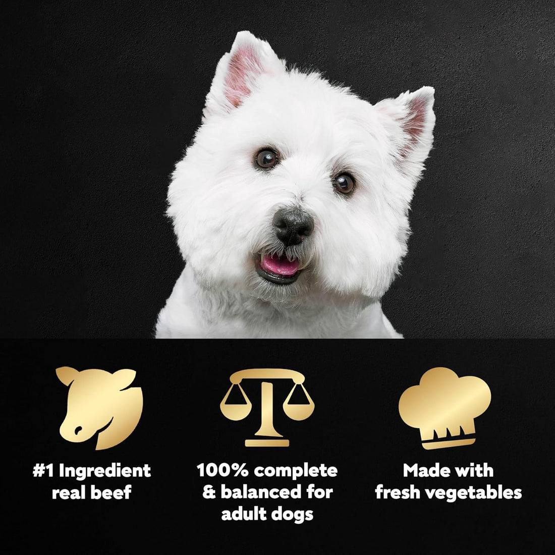 Cesar Wholesome Bowls Adult Wet Dog Food,Beef,Chicken,Purple Potatoes