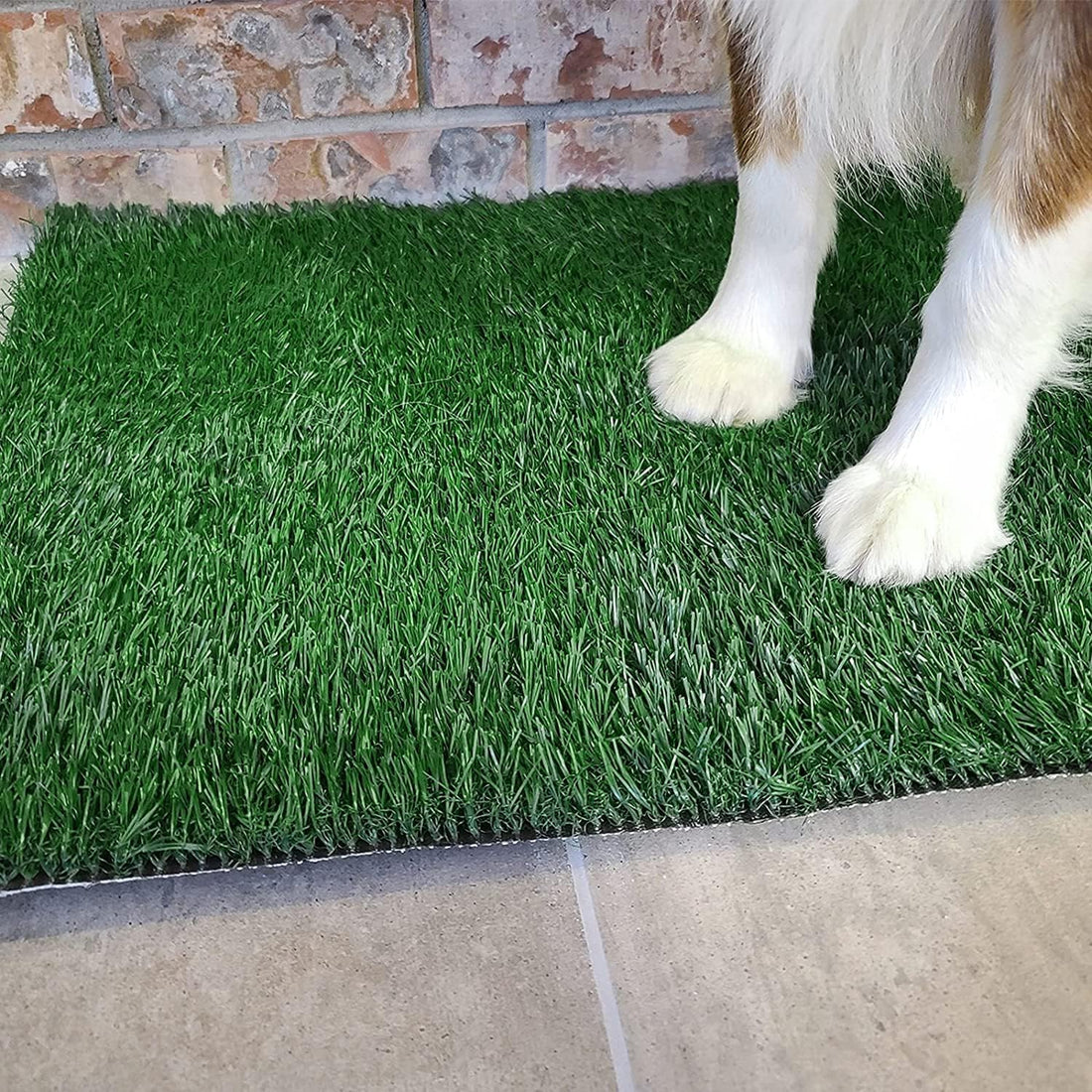 Grass Pad with Tray 20"x16", Dog Litter Box for Puppy Training