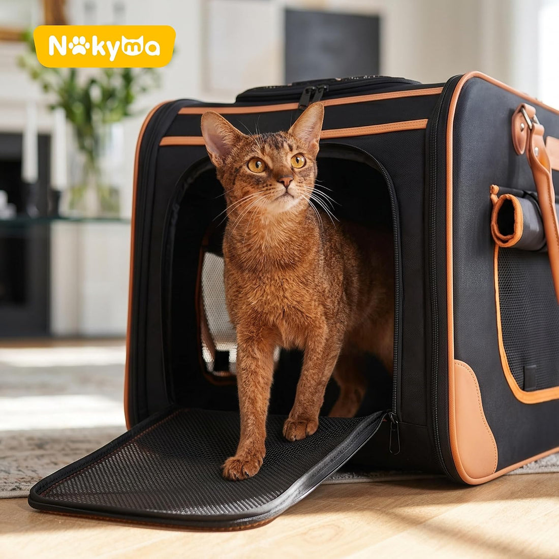 Extra Large Cat Carrier for 2 Cats