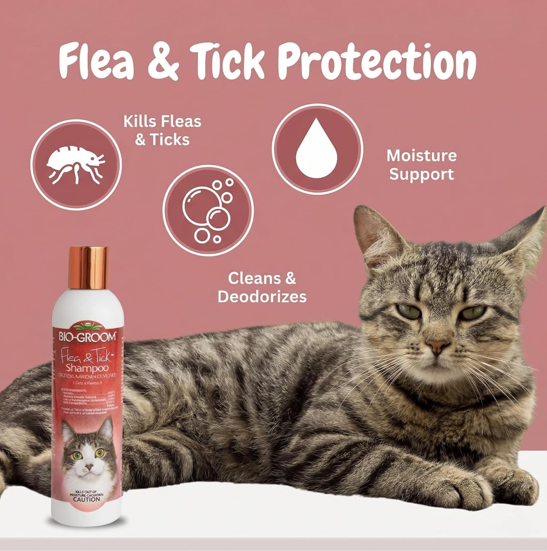 Bio-Groom Flea & Tick Dog Shampoo, Protein-Lanolin Shampoo, 8 fl oz