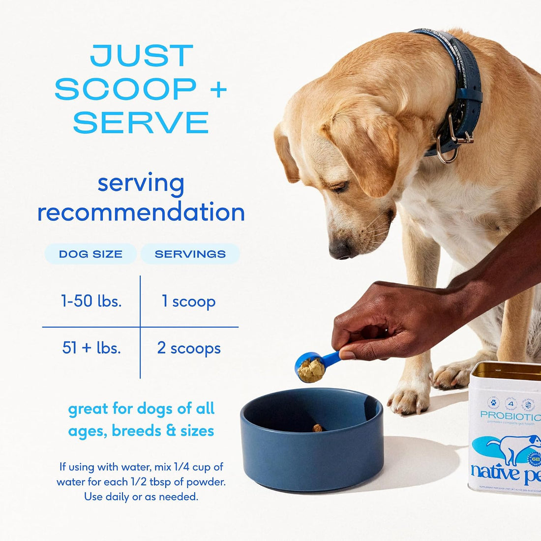 Native Pet Probiotics for Dogs
