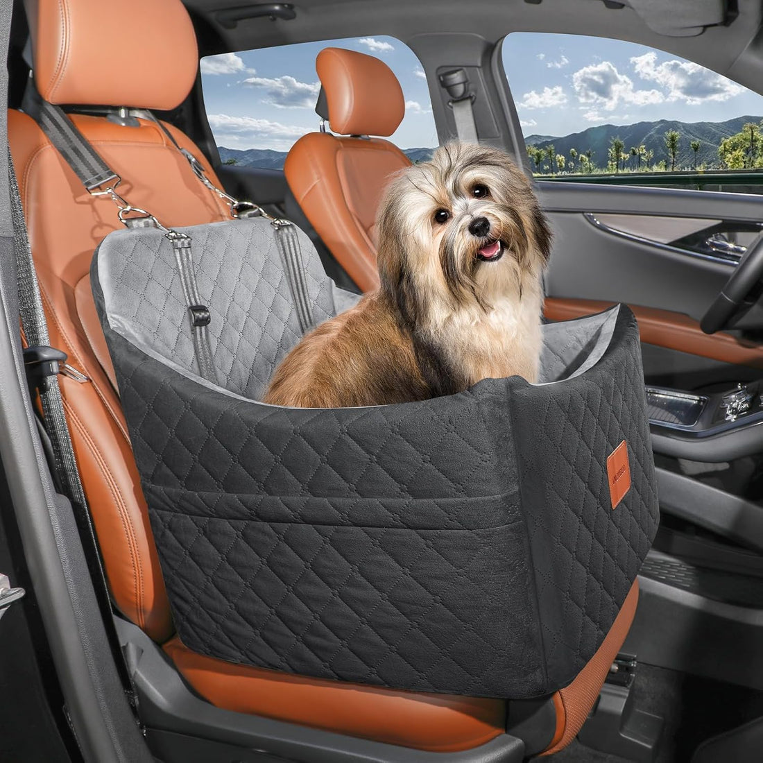 Dog Car Seat for Small Medium Dogs,Detachable Washable Dog Booster