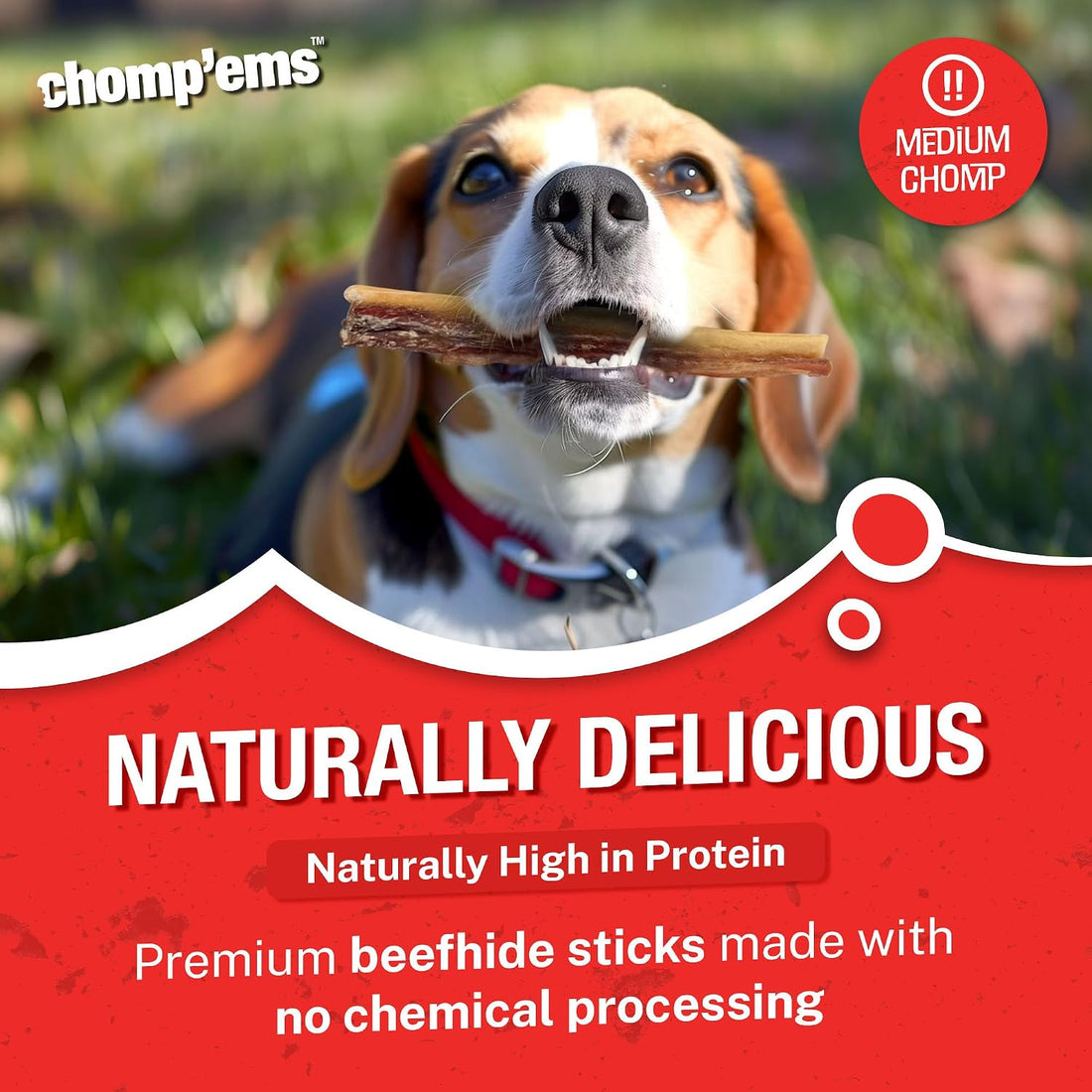 Chomp'ems Purehide Sticks Healthy Natural Rawhide Dog Chew, 12 oz