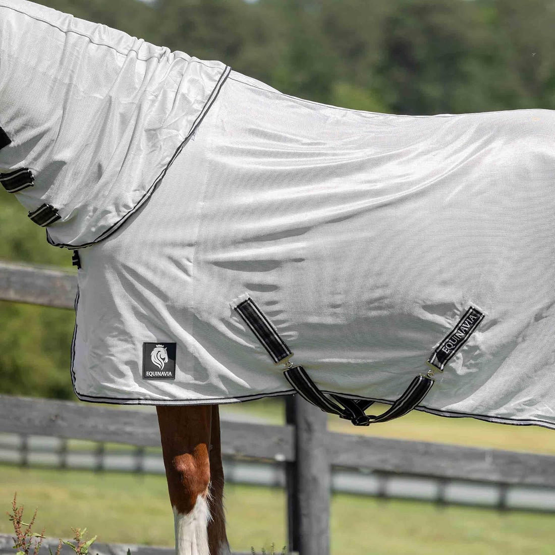 Equinavia Brisk Mesh Horse Fly Sheet with Neck Coverage, UV Protection